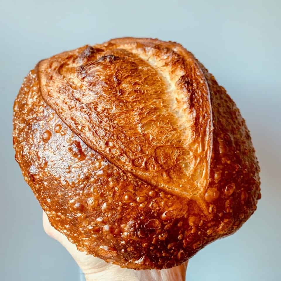 golden sourdough batard with blisters