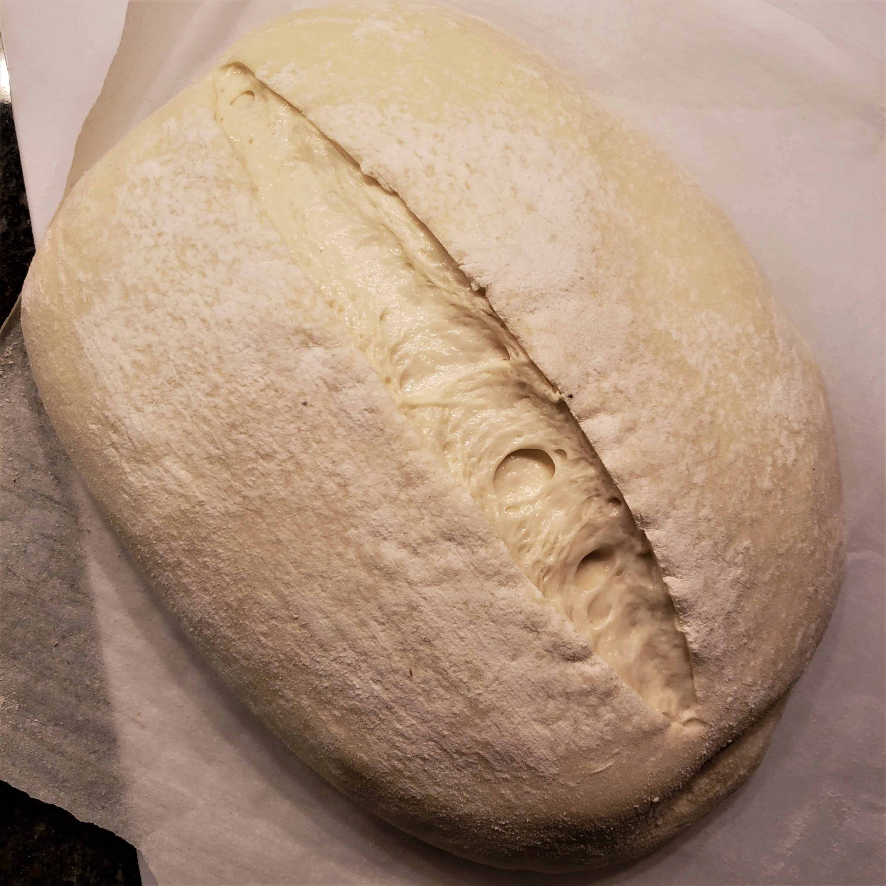 Bake – 1 Bread proofing on parchment