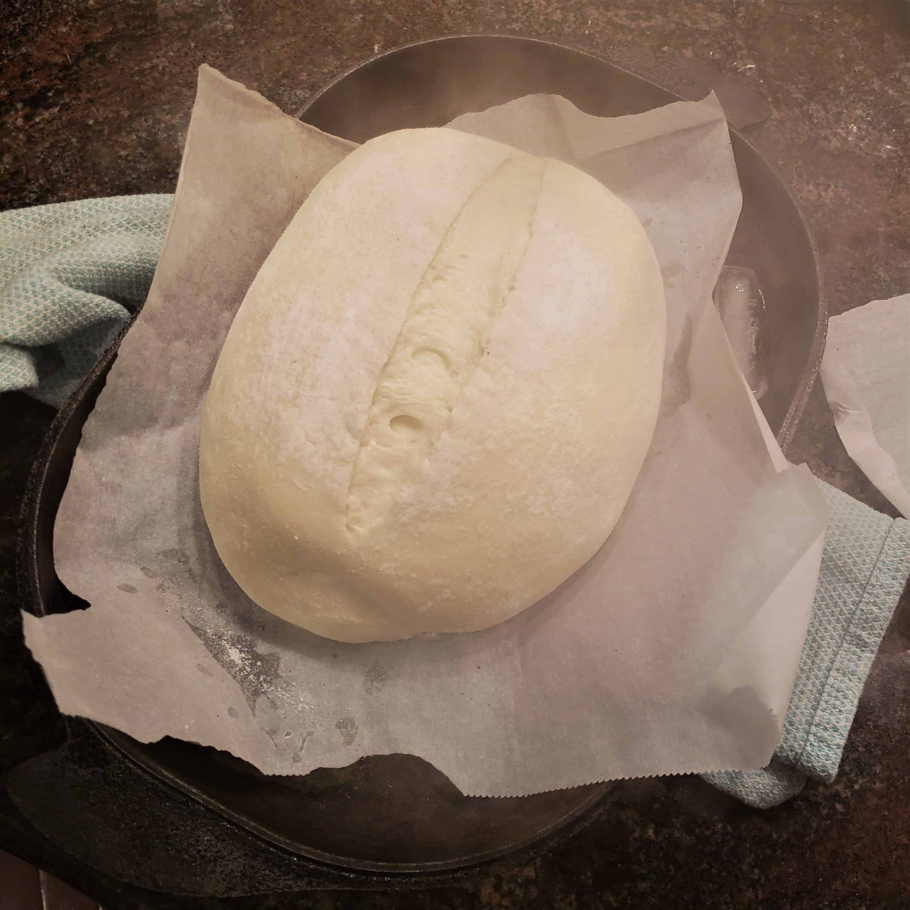 Bake – 2 Bread not yet baked, just dough on pan with parchment