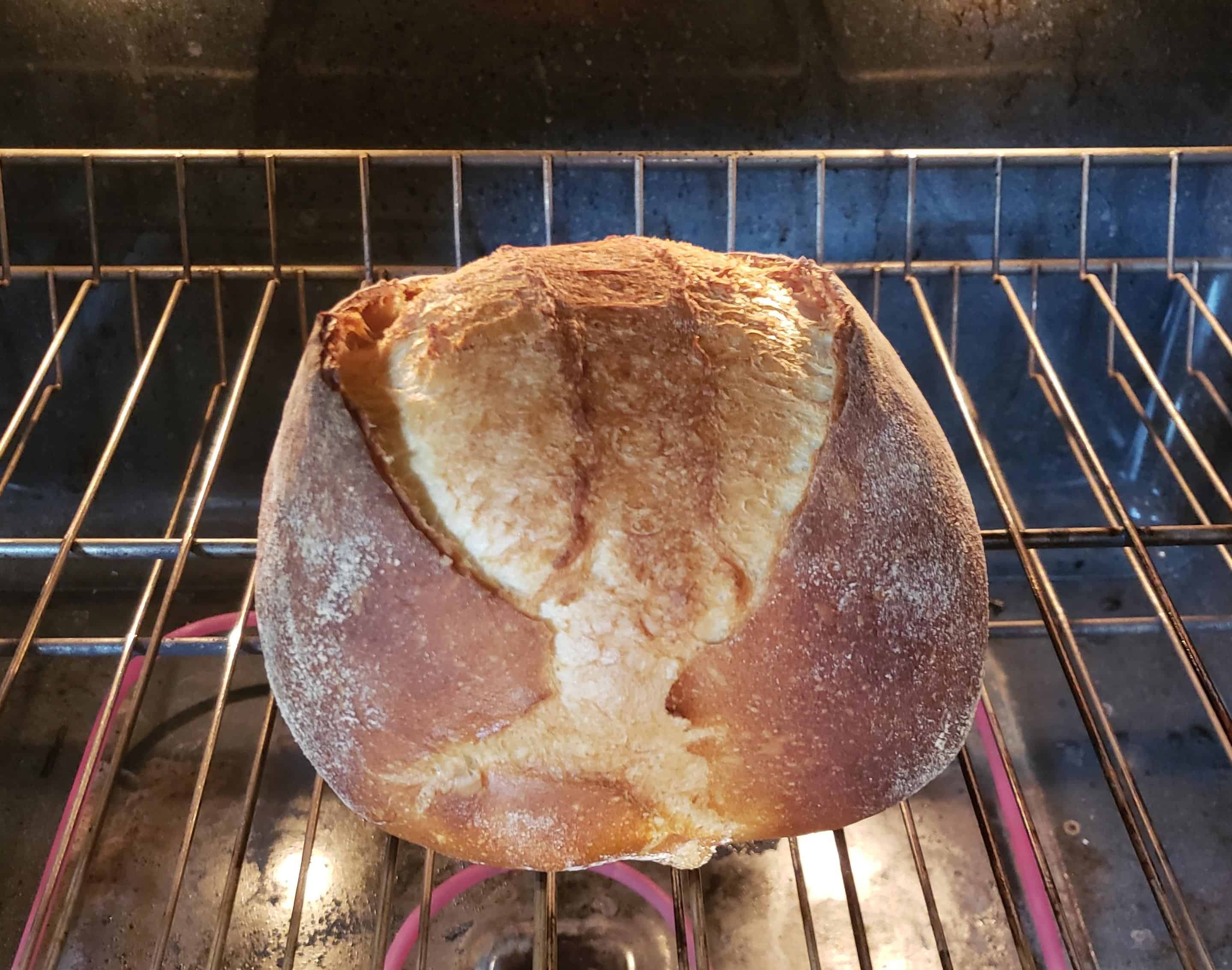 Bake – 4 Baked bread in an oven