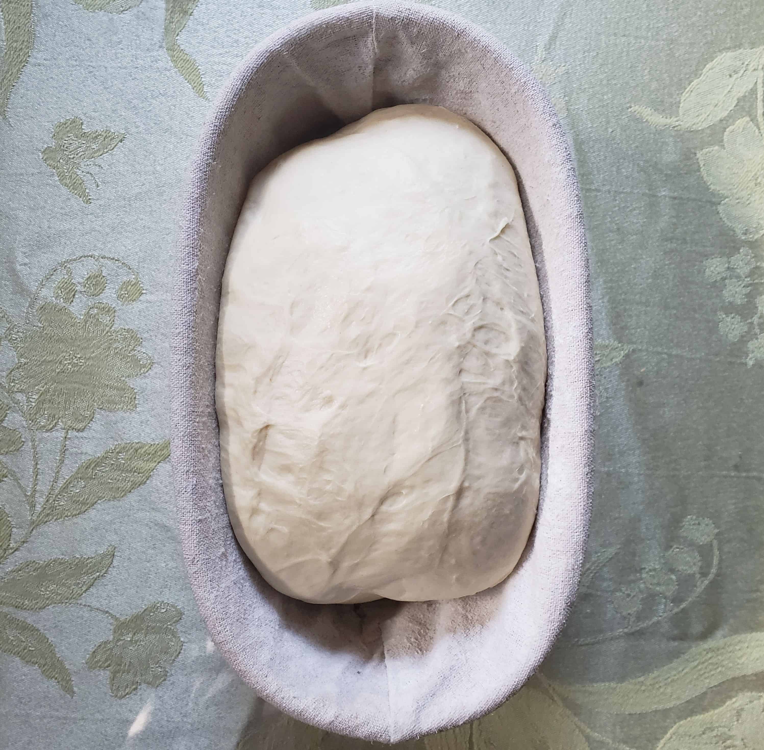 Final Proof – End bread risen in banneton