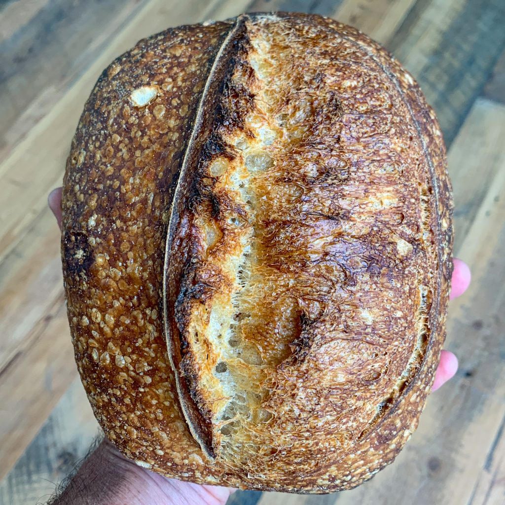 sourdough bread showing blisters on the crust